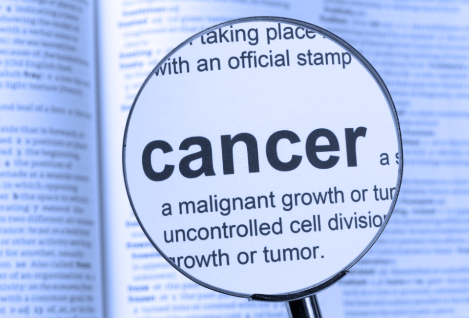 El càncer: un univers en miniatura