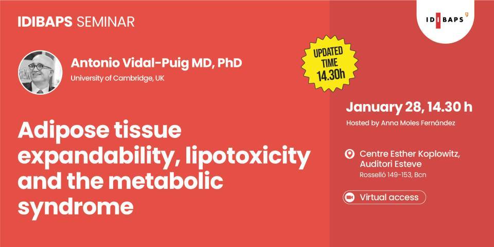 IDIBAPS SEMINAR: Adipose tissue expandability, lipotoxicity and the  metabolic syndrome