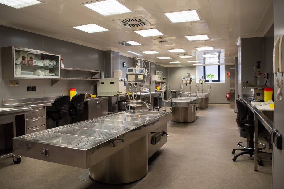 Visita a la Sala de Disección y al Servicio de Donación de Cuerpos