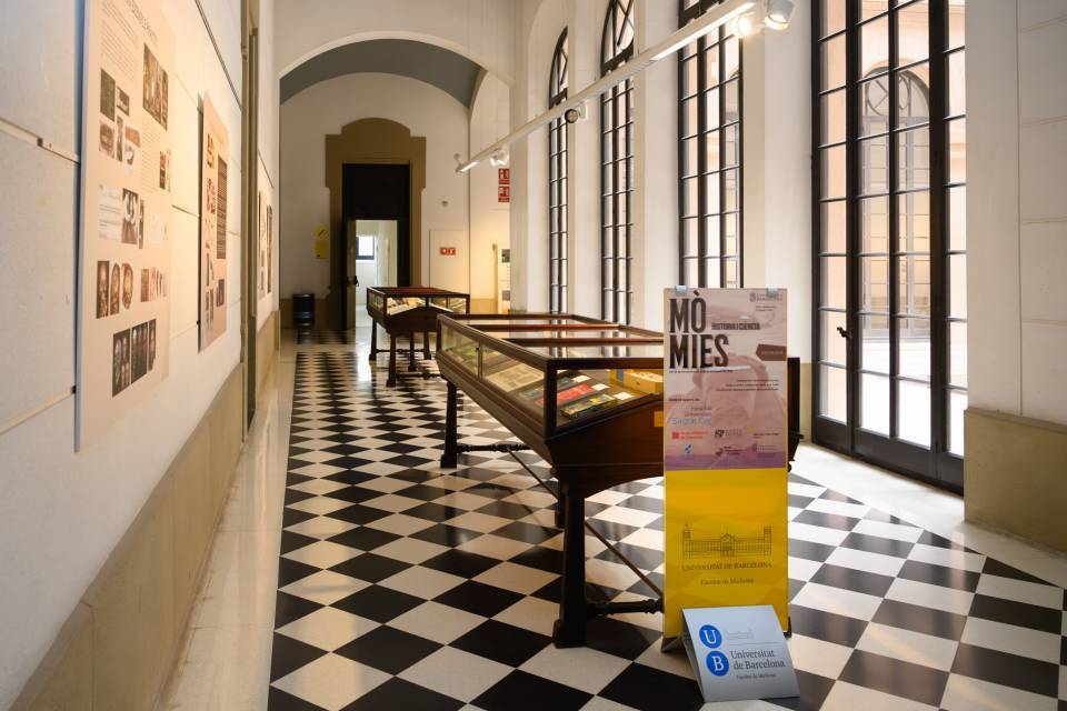 Momias: historia y ciencia