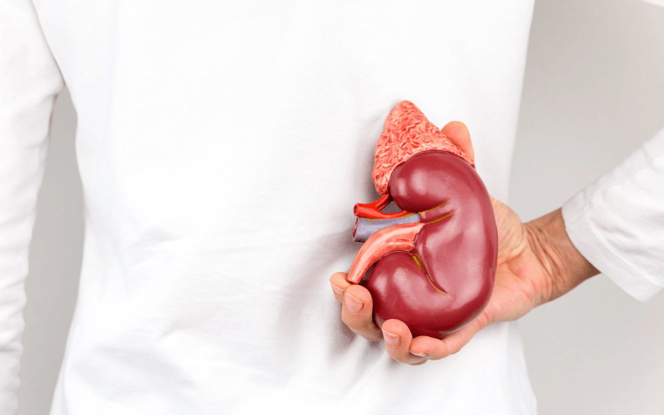 Riñones al 100%: ¡cuídalos como a tus Tik Toks!