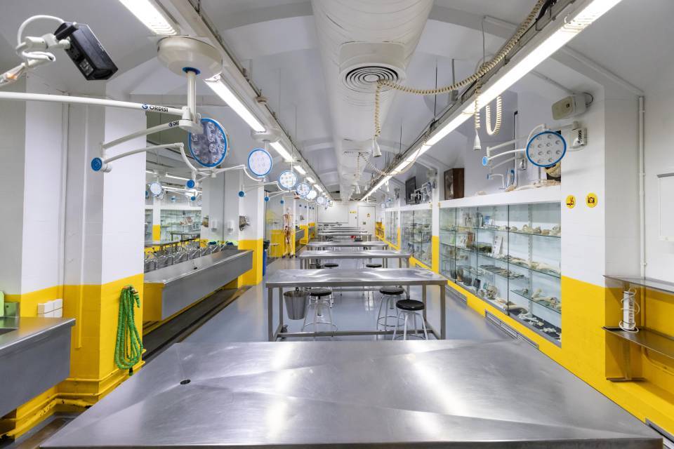 Visita a la Sala de Disección y al Servicio de Donación de Cuerpos