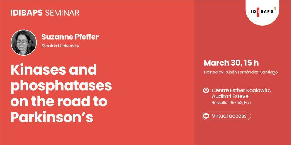 IDIBAPS SEMINAR: Kinases and phosphatases on the road to Parkinson’s