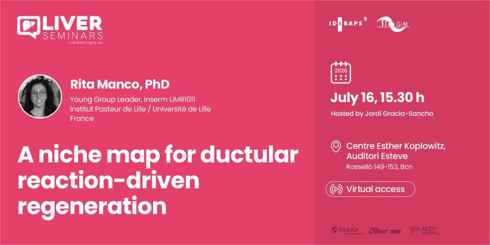 LIVER SEMINARS: A niche map for ductular reaction-driven regeneration
