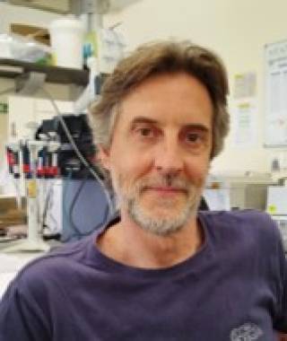 Albert Salvatella Bertran