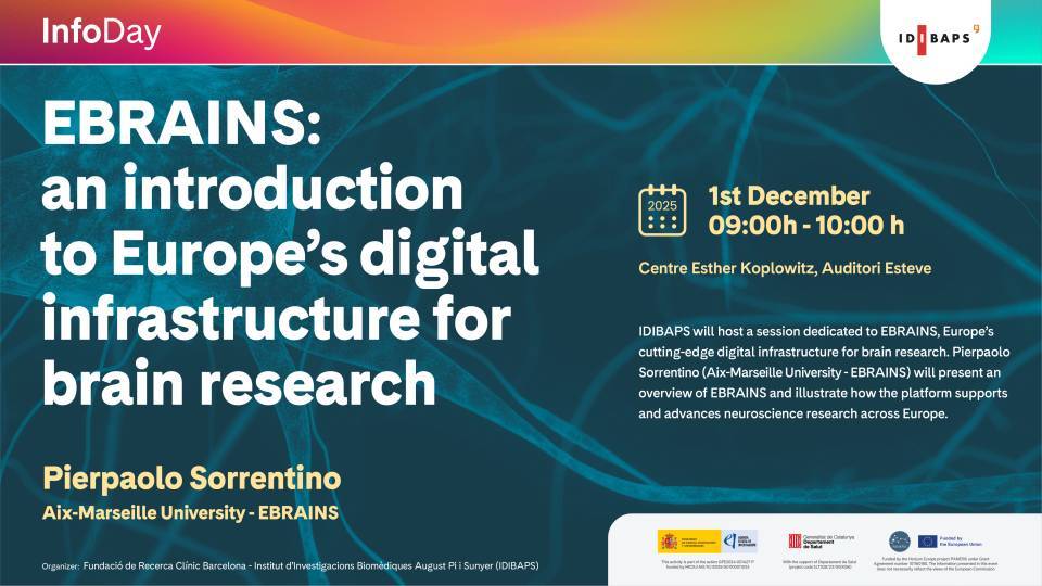 EBRAINS: an introduction to Europe's digital infrastructure for brain research