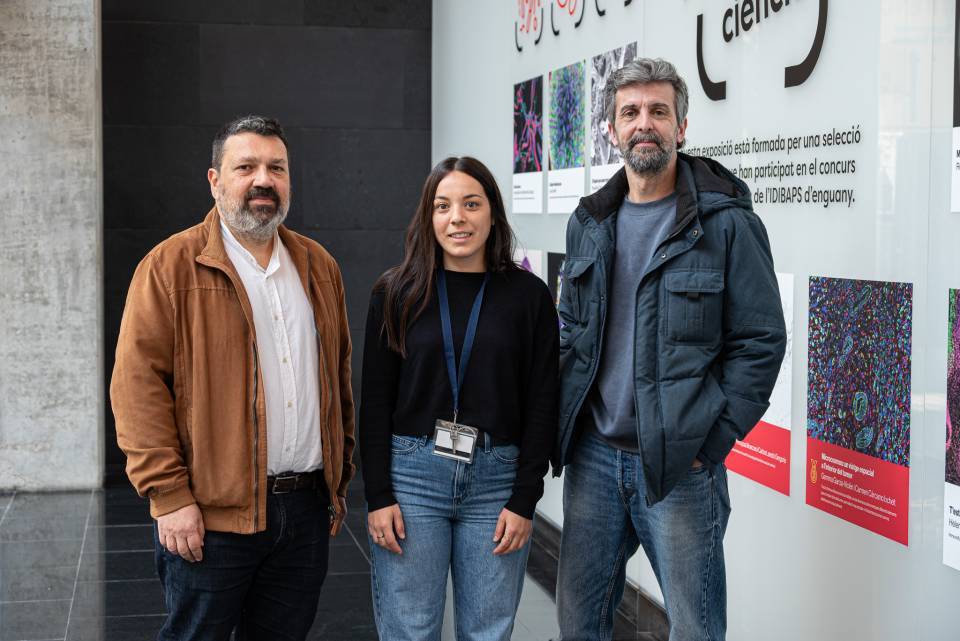 From left to right: Josep Lluís Carrasco, Laura Julià and Sergi Mas.