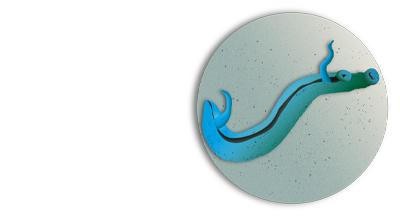 Diagnóstico de la Esquistosomiasis | PortalCLÍNIC