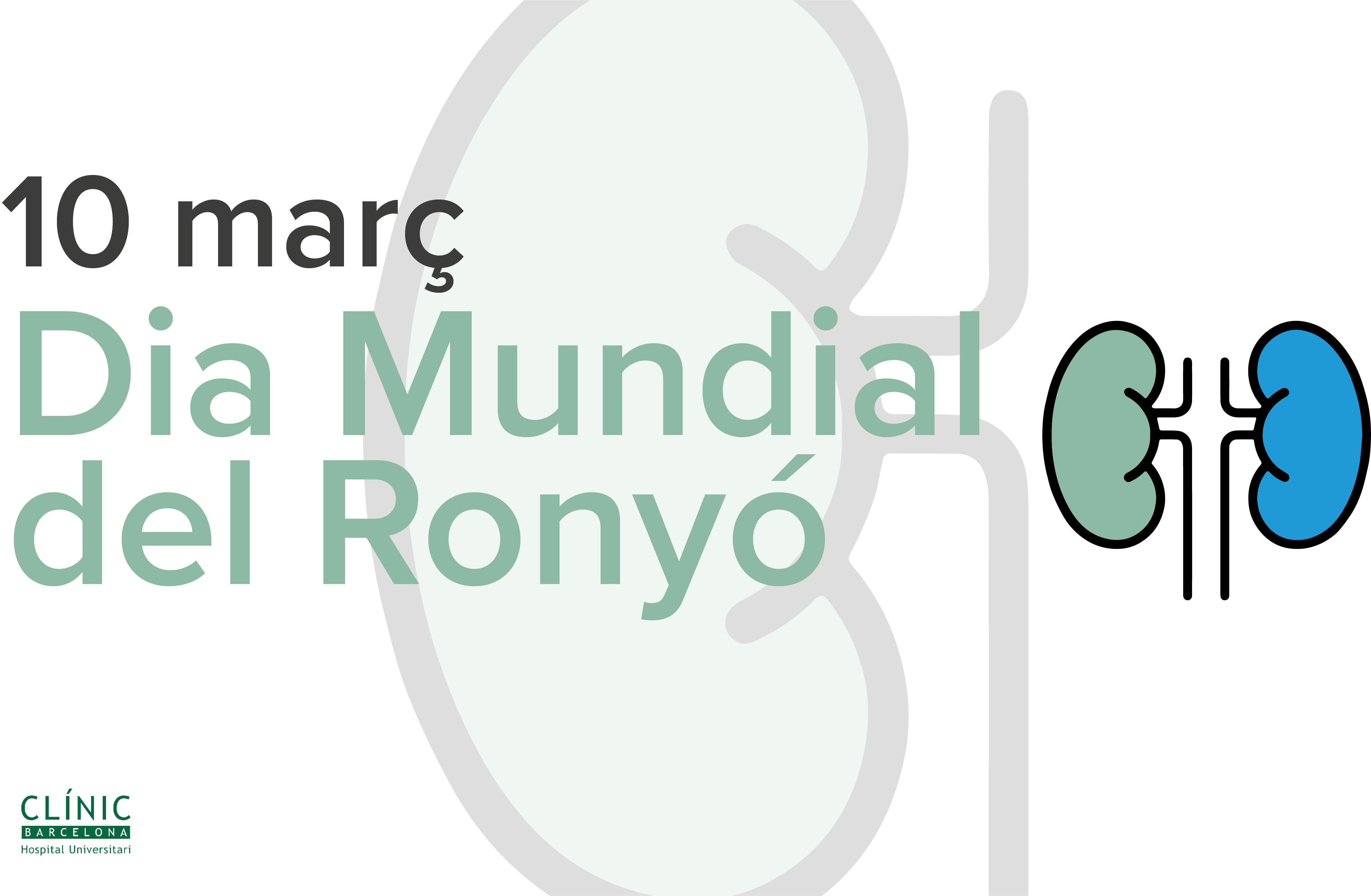 El Clínic celebra el Día Mundial del Riñón 2022