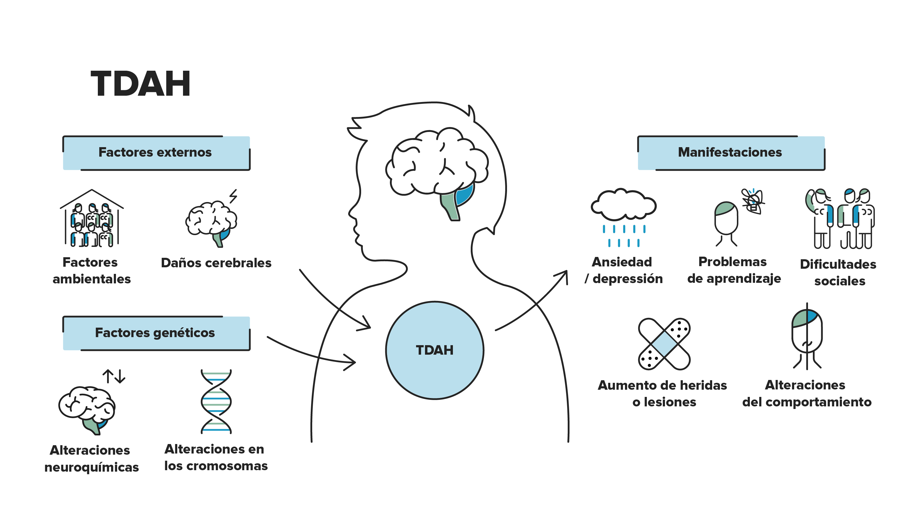 TIPOS DE TDAH Mind Map