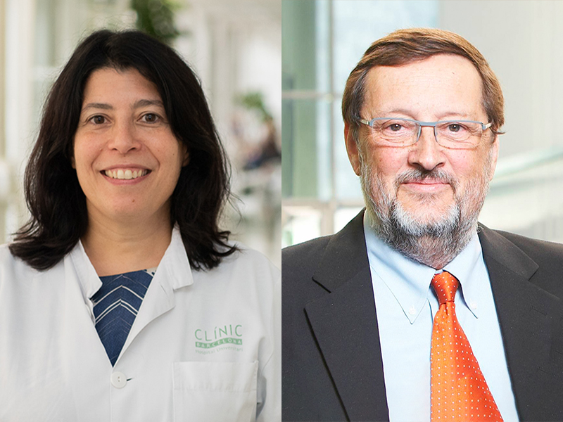 María Reig sustituye a Jordi Bruix como líder del grupo de