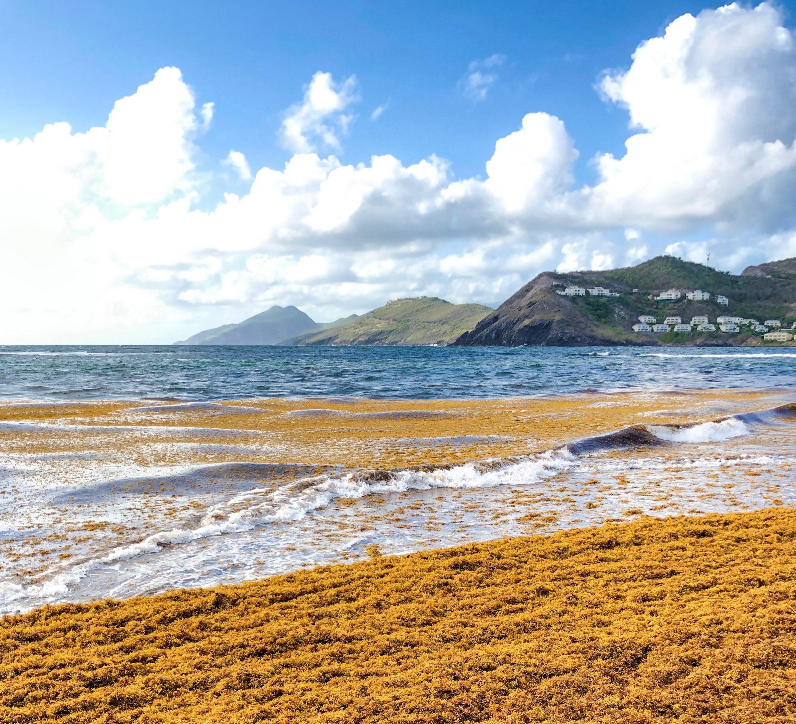 St. Kitts & Nevis Hospital Clínic Barcelona