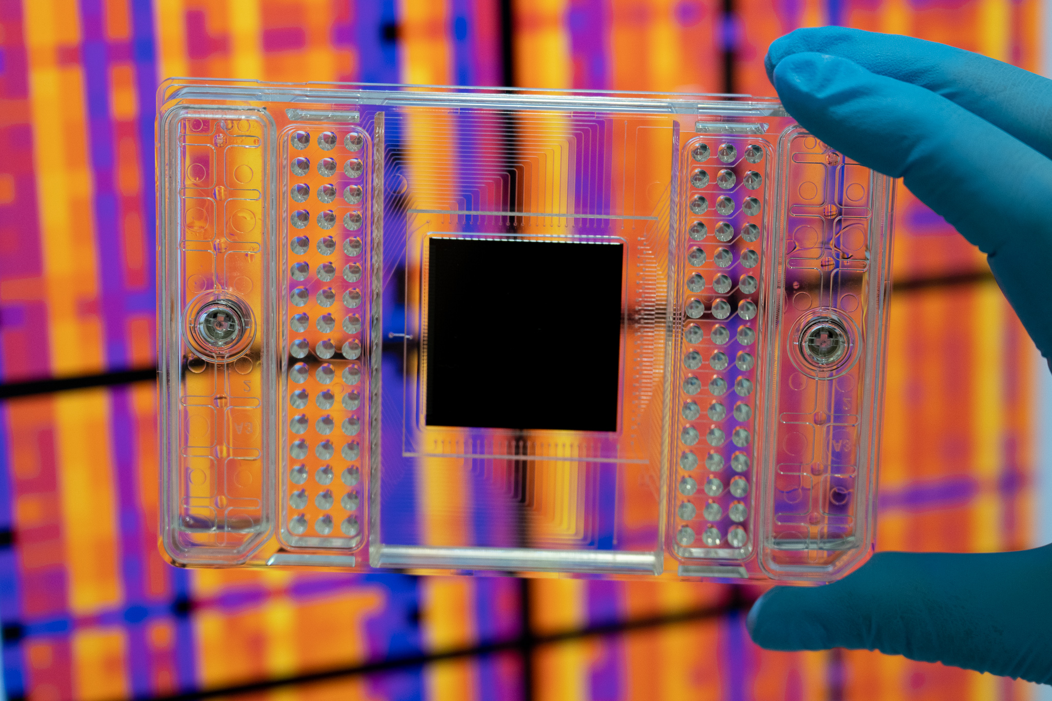 IDIBAPS forms part of three R&D&I networks supported by the Catalan ...