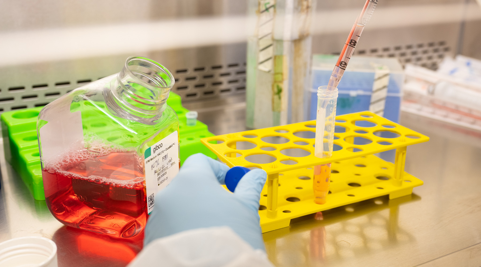 IDIBAPS collects over one billion euros for biomedical research