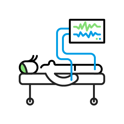 Potenciales evocados somatosensoriales