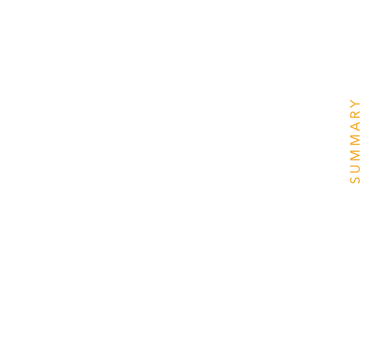 IDIBAPS - Annual Report 2019 Summary